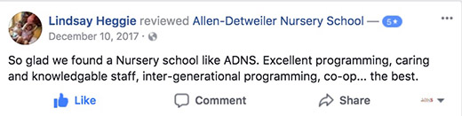 ADNS Facebook Review